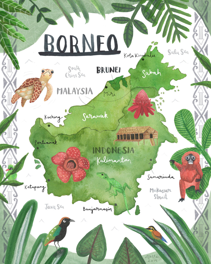 Borneo Illustrated Map