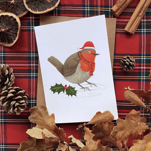 
            
                Load image into Gallery viewer, Christmas Robin Christmas Cards
            
        