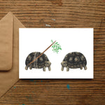 Mistletoe Tortoise Christmas Cards