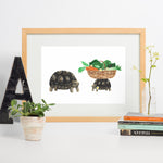 Garden Tortoise Art Print