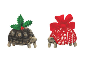 
            
                Load image into Gallery viewer, Christmas Tortoise Christmas Cards
            
        