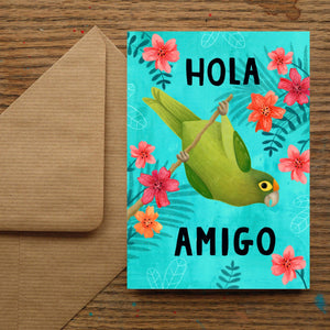 
            
                Load image into Gallery viewer, Hola Amigo Greetings Card
            
        