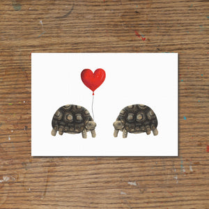 
            
                Load image into Gallery viewer, Tortoise Love Art Print
            
        