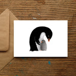 Baby Penguin Greetings Card
