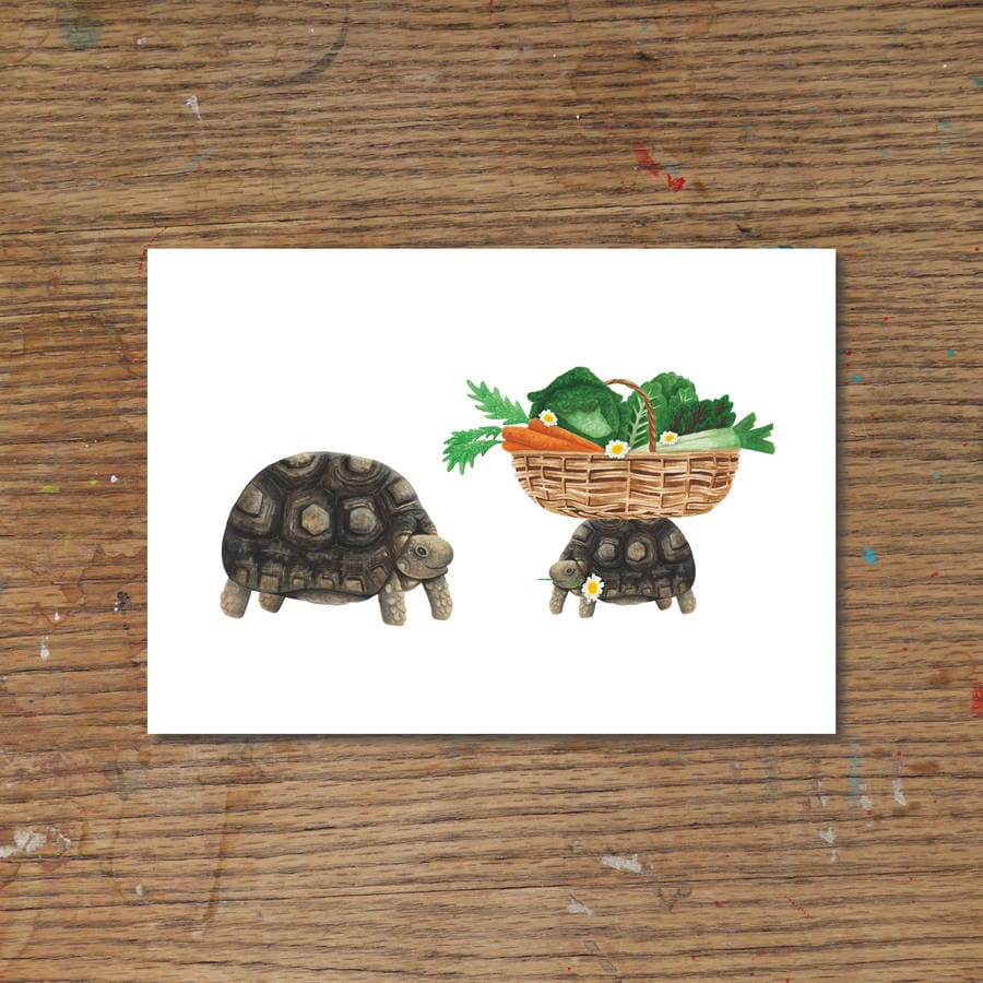 
            
                Load image into Gallery viewer, Garden Tortoise Art Print
            
        