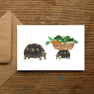Garden Tortoise Greetings Card